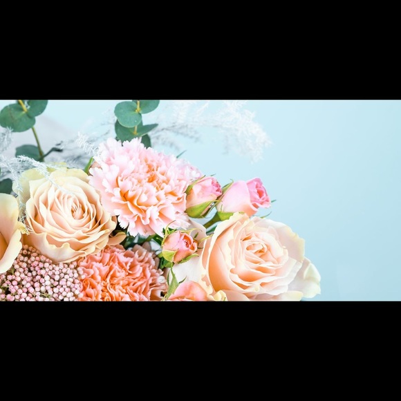 Meet your Posher, Chelsea - Picture 1 of 1